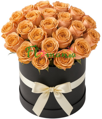 25 роз капучино в шляпной коробке Cappuccino Rose