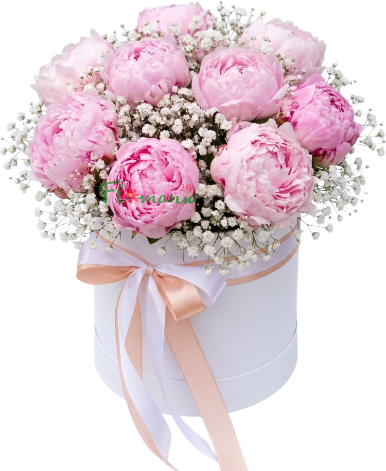 Любовный эликсир