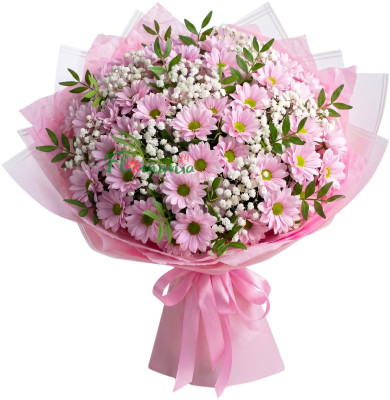 Букет из розовых хризантем и гипсофилы «Открытие»